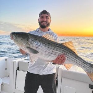 Meet your Posher, Ovídio